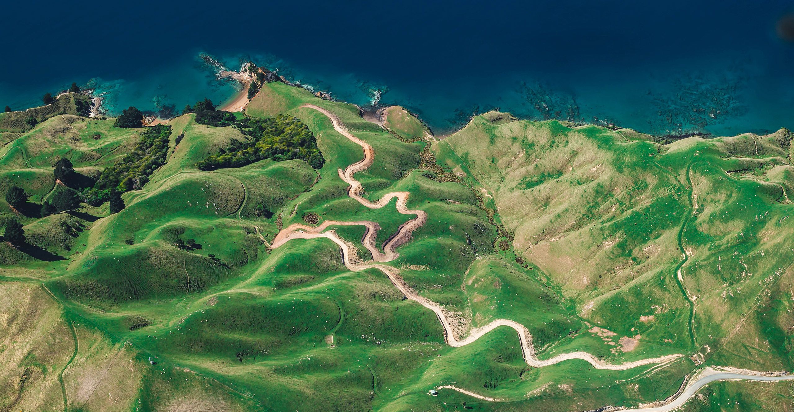 Treating Atopic Dermatitis